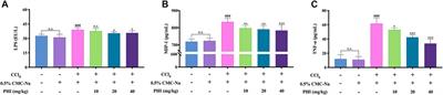 Phillygenin Attenuates Carbon Tetrachloride-Induced Liver Fibrosis via Modulating Inflammation and Gut Microbiota